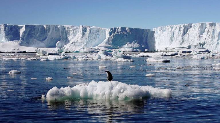 Comienza la primera expedición científica alrededor de la Antártida