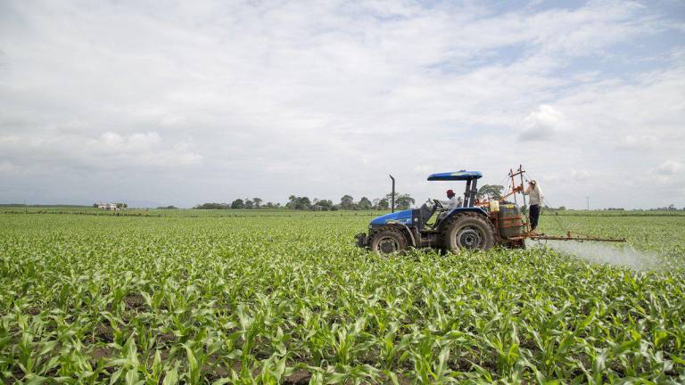 A 40 millones de euros asciende cooperación de la UE con Ecuador