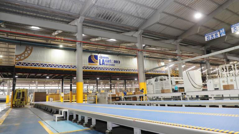 Incarpalm: de proveedor interno a pieza clave en la cadena exportadora ecuatoriana