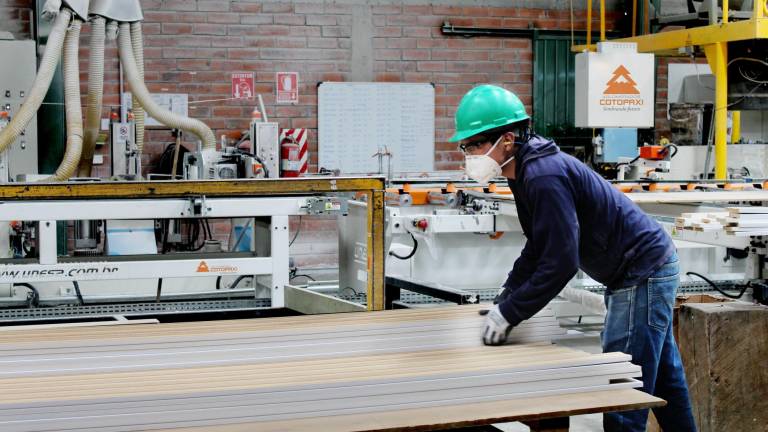 Industria de madera afianza su crecimiento en diversos sectores
