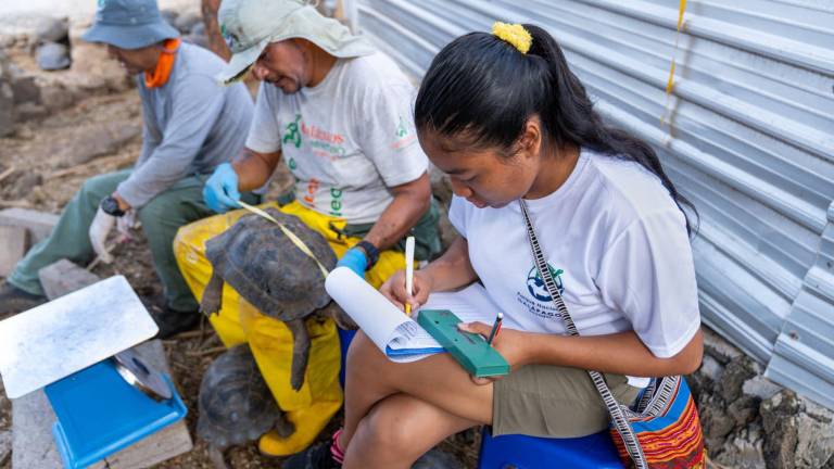 Parque Nacional Galápagos ofrece alrededor de 30 opciones de voluntariado: ¿Cómo aplicar y cuáles son los requisitos?