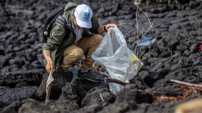 La limpieza costera en Galápagos se reanuda en 2021