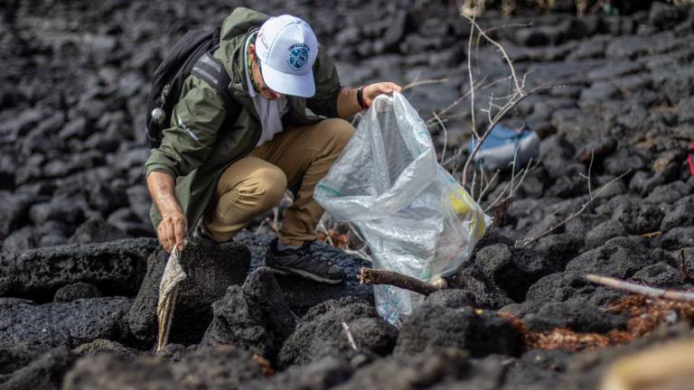 La limpieza costera en Galápagos se reanuda en 2021