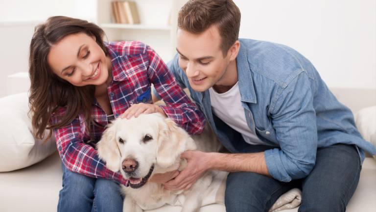 Feng Shui: Las mascotas canalizan energías positivas en el hogar