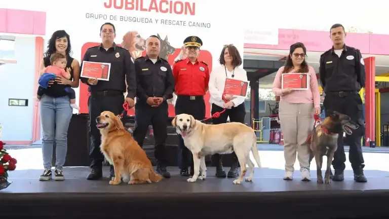 Cuerpo de Bomberos de Quito jubila a tres perros especialistas en búsqueda y rescate urbano