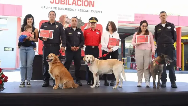 Cuerpo de Bomberos de Quito jubila a tres perros especialistas en búsqueda y rescate urbano