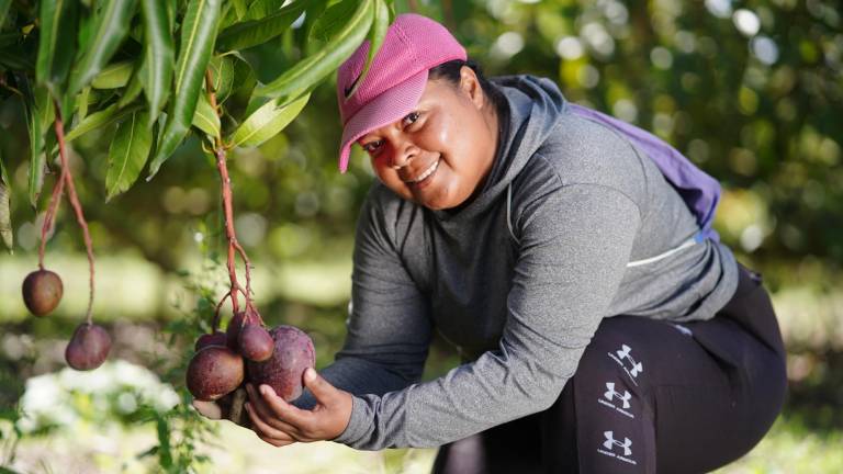 En Ecuador se impulsa la agricultura familiar campesina