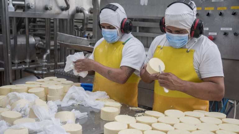 El cien por ciento de la producción de quesos y yogures de Alpina son fabricados con materia prima nacional.