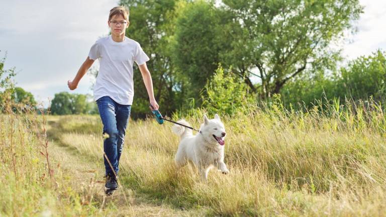 ¿Cómo proteger a tu perrito del calor de temporada?