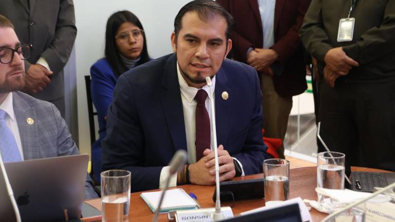 Ministro del Trabajo explica cómo fue el levantamiento de la prohibición de Álvaro Rosero