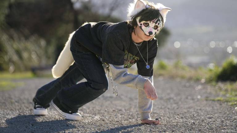 Therians en Quito y Guayaquil cancelan sus reuniones en espacios públicos: ¿dónde es la siguiente convocatoria?