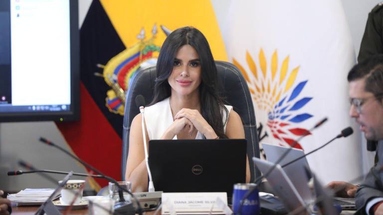 Diana Jacome propone fiscalizar fallo de la Corte Constitucional.