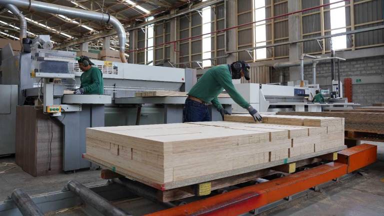 Las exportaciones forestales del Ecuador estuvieron liderada por las manufacturas de balsa, seguida de los tableros de madera, papel y cartón, teca y muebles.