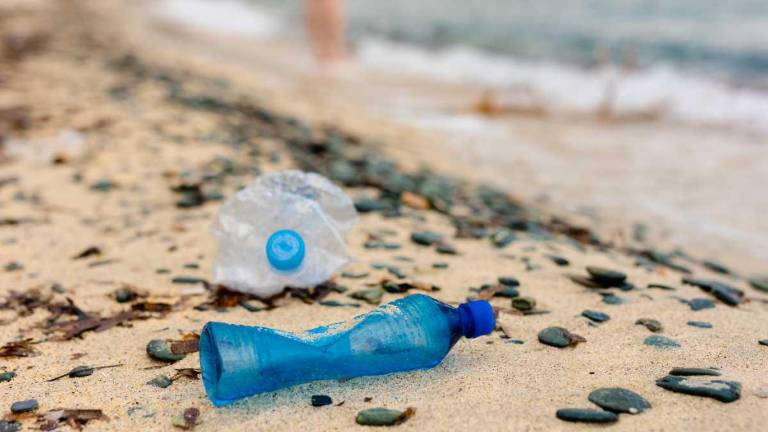Mala gestión del plástico continúa afectando al ecosistema marino