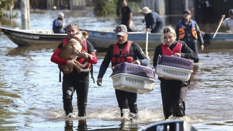 Los emotivos rescates de animales durante las inundaciones en Porto Alegre, Brasil