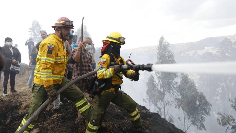 Incendio forestal en Quito fue controlado: Bomberos continúan labores y Pabel Muñoz anuncia medidas