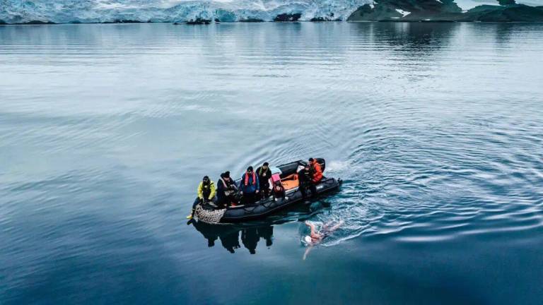 La sirena de hielo logra el récord de nadar 2,5 kilómetros en la Antártida
