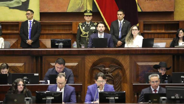 Fotografía del Pleno de la Asamblea, presidido por el legislador oficialista Niels Olsen.