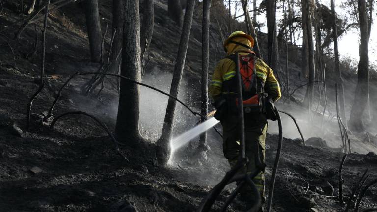 Quito: incendio forestal en La Bota fue controlado tras varias horas de labores con cerca de 60 bomberos
