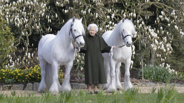 Fotografía de la reina Isabel II posando con sus ponies, Bybeck Nightingale y Bybeck Katie, realizada en honor a su cumpleaños 96 en su casa de campo en Sandringham (Photo by Henry DALLAL / ROYAL WINDSOR HORSE SHOW / AFP)