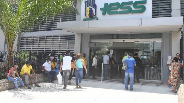 IESS aclara a jubilados y afiliados la nueva actualización de datos en su plataforma digital