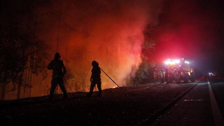 Ecuador envía bomberos a Chile para combatir ola de incendios forestales: hay al menos 24 muertos y 2.180 heridos