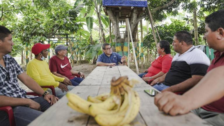 Ecuador presenta plan para el sector bananero, afectado por guerra en Ucrania