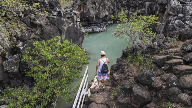 “Comunidades circulares”: la propuesta de científicos ecuatorianos y neerlandeses para las islas Galápagos