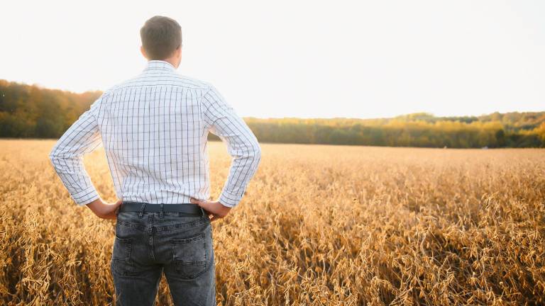 USSEC: La Soya Sostenible gana protagonismo en la producción de pollo, cerdo y pescado en Latinoamérica