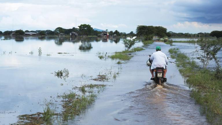Lluvias en Ecuador dejan más de 132 mil damnificados desde enero