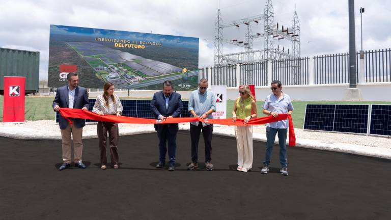 La granja solar Río de Oro Energy formalizó el inicio de su alianza con Pica