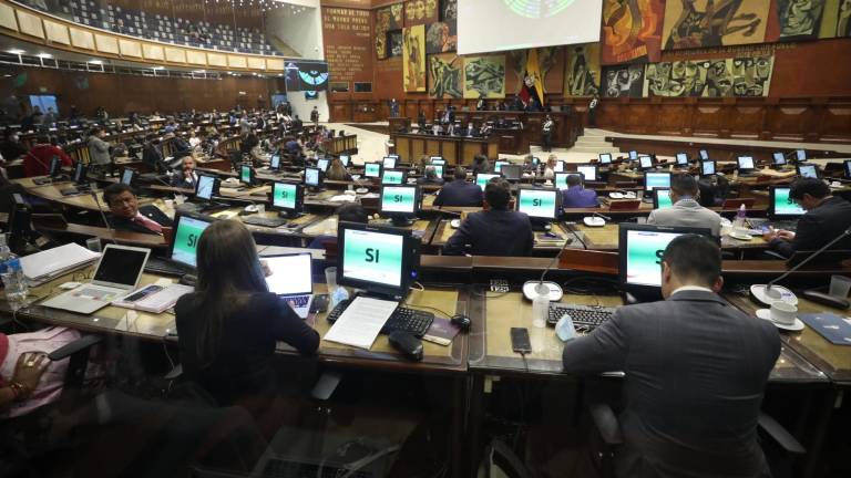 Asamblea Nacional aprueba creación de comisión ad hoc para evaluar a Guadalupe Llori