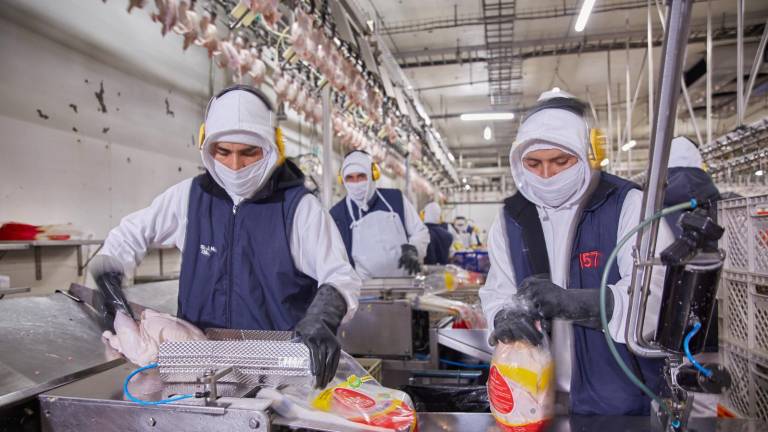 Colaboradores trabajan en línea de producción de pavos.