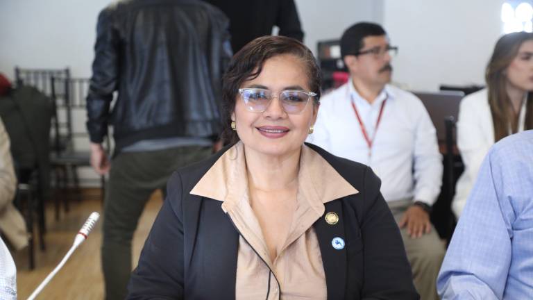 Sandra Figueroa causó polémica en el Pleno de la Asamblea.