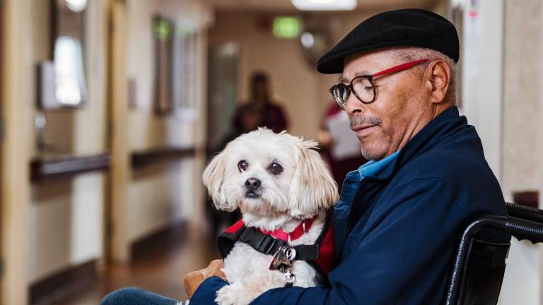 Las mascotas y adultos mayores: Salud cognitiva y prevención del riesgo de discapacidad