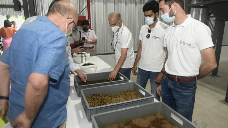 Ecuador cuenta con la primera planta de producción de harina de insecto en América Latina