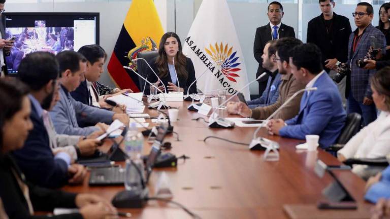 La Comisión de Desarrollo Económico, presidida por Valentina Centeno, tramita la segunda ley económica urgente.