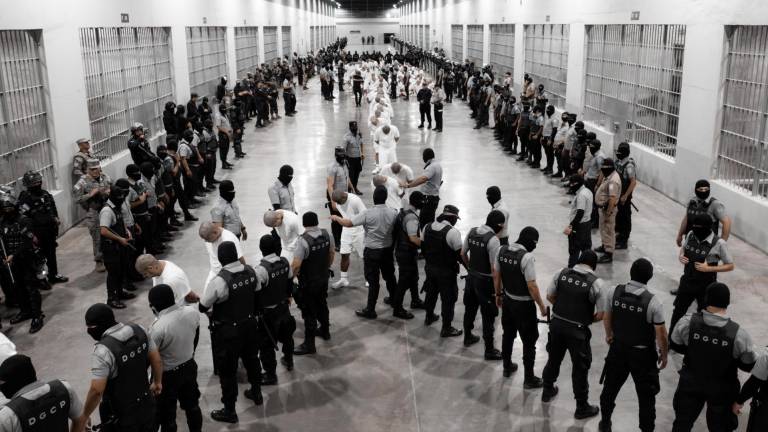 Fotografía cedida por la Presidencia de El Salvador, donde se observa a guardias del Centro de Confinamiento del Terrorismo trasladando a supuestos miembros de la banda criminal conocida como Tren de Aragua.