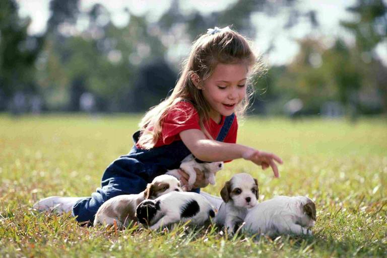$!Los perros ayudan a reducir los niveles de estrés en niños