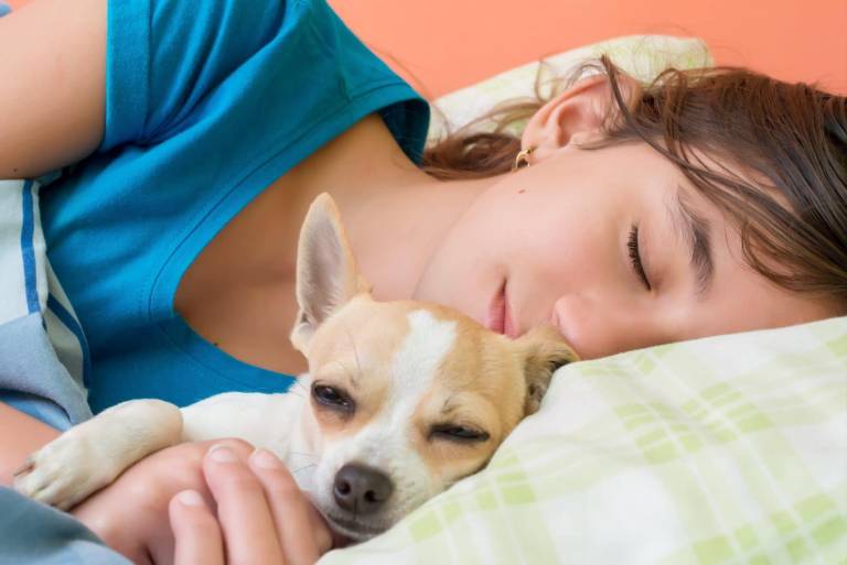 $!¿Por qué dormir con mascotas puede ayudar a mejorar la calidad del sueño?