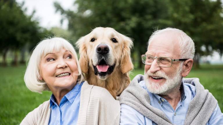 Tener una mascota te puede ayudar a prevenir el alzhéimer