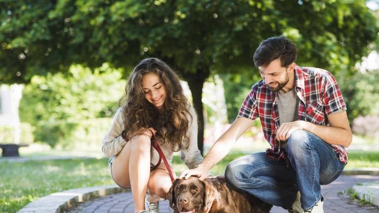San Valentín 2026: ¿Estás soltero? tu perro podría ser el mejor aliado para encontrar pareja