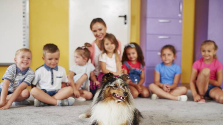 Francia incluye formalmente el cuidado de mascotas en las escuelas para enseñar empatía