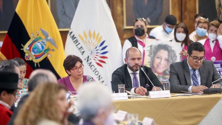 Asamblea resolvió crear la Comisión Especializada Ocasional por la verdad, Justicia y reparación del caso María Belén Bernal.