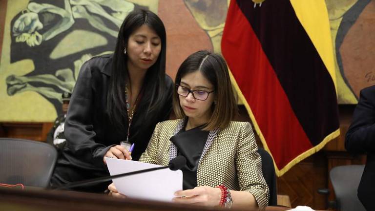 Asamblea acusa al partido ADN de Daniel Noboa de 'intentar evadir' la ley en licencias para la campaña