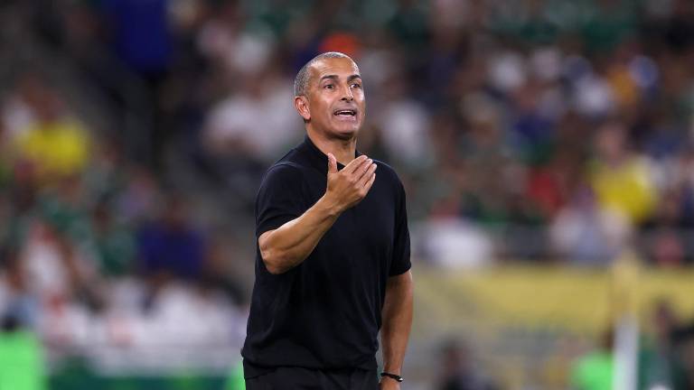 El seleccionador francés de Túnez, Sabri Lamouchi, durante el partido entre Suecia y Túnez.