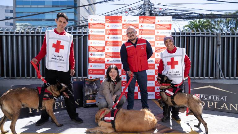 Cruz Roja fortalece la atención de los perros especialistas en búsqueda y asistencia comunitaria