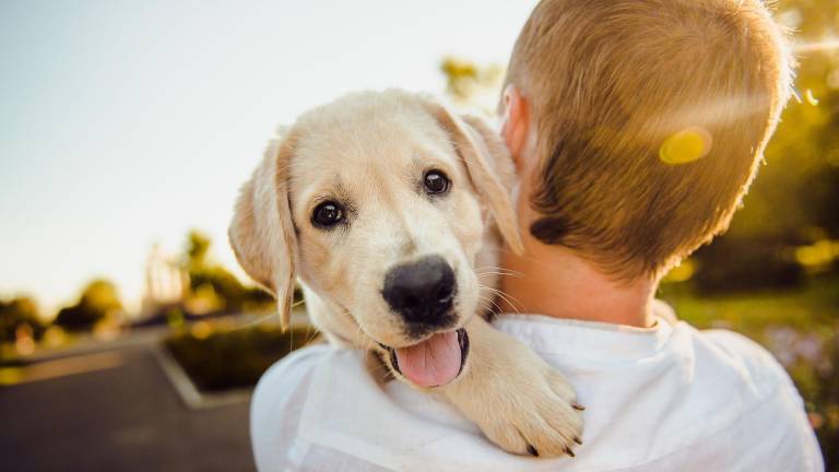 Los perros son capaces de oler el estrés de las personas, según nueva investigación