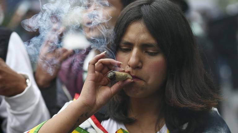 Cientos de personas reclaman la legalización total de la marihuana en Ecuador