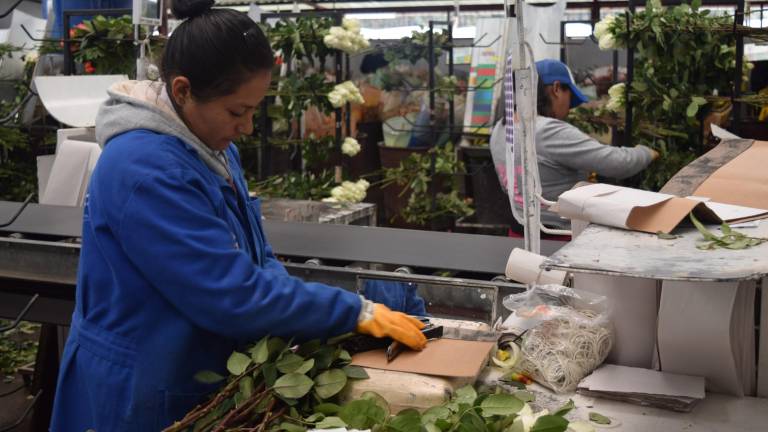 Floricultores piden al Gobierno una reacción rápida ante arancel impuesto por Donald Trump